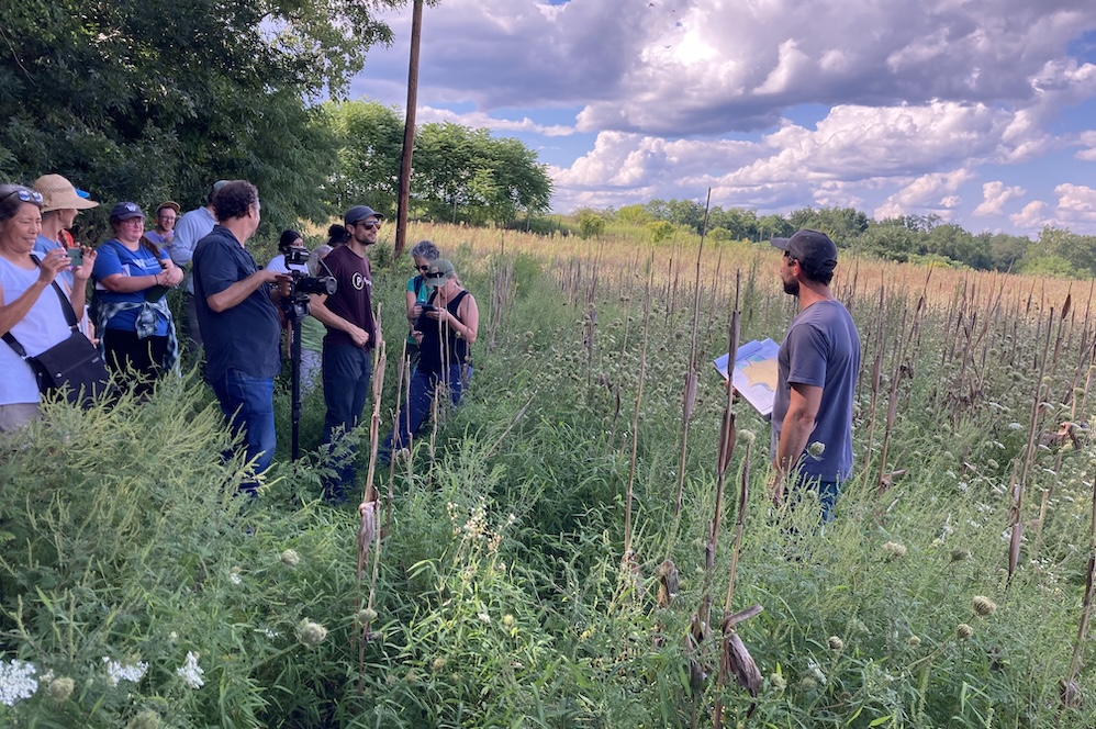 9G Pollinator Meadow