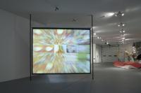 Pictures 2009 007 Resized