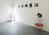 Pictures 2009 062 Resized