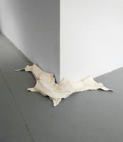 Pictures 2009 087 Resized