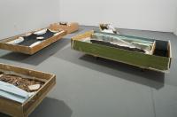 Pictures 2009 088 Resized