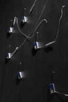 Pictures 2009 240 Resized