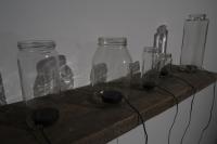 Pictures 2009 251 Resized