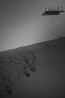 Pictures 2009 253 Resized